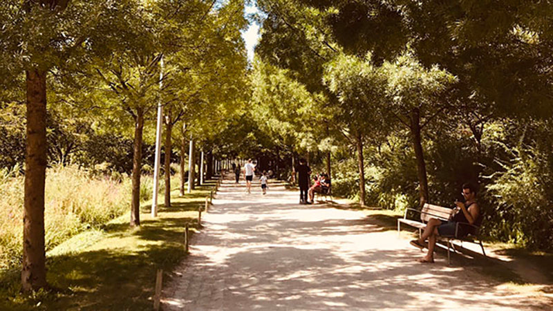 唯有機創辦人艾莉絲Iris在法國遇見「綠色優雅」